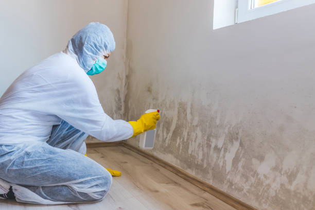 Licensed Bathroom Mold Removal service in King of Prussia, PA - WQB Mold Removal