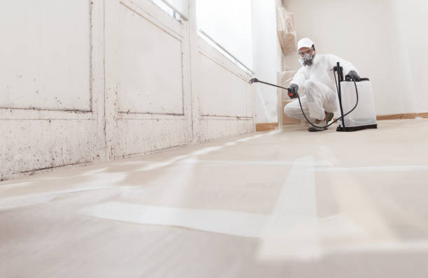24/7 Emergency Bathroom Mold Removal experts in King of Prussia, PA