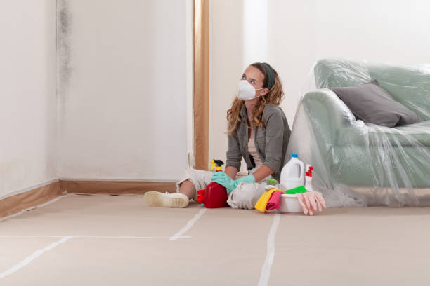 Reliable Bathroom Mold Removal contractor in King of Prussia, PA by WQB Mold Removal
